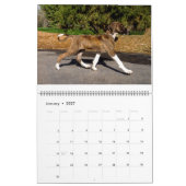 2016 AZAWAKH CALENDAR KALENDER (Jan 2027)