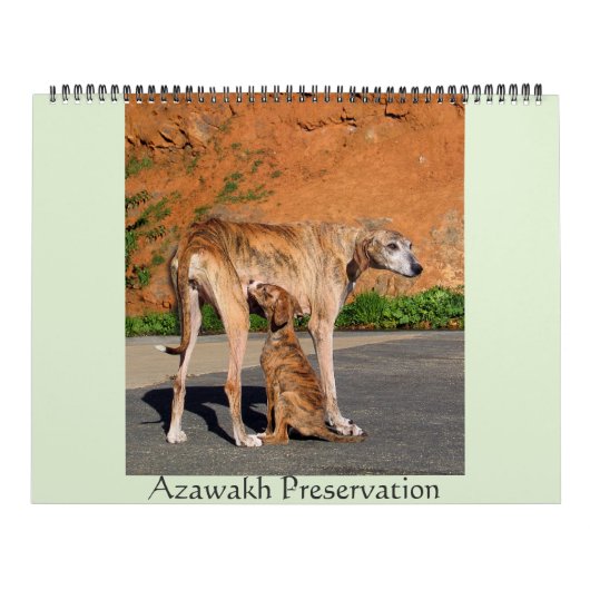 2016 AZAWAKH CALENDAR KALENDER (Titelbild)