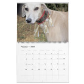 2016 AZAWAKH CALENDAR KALENDER (Feb 2026)