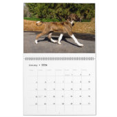 2016 AZAWAKH CALENDAR KALENDER (Jan 2026)