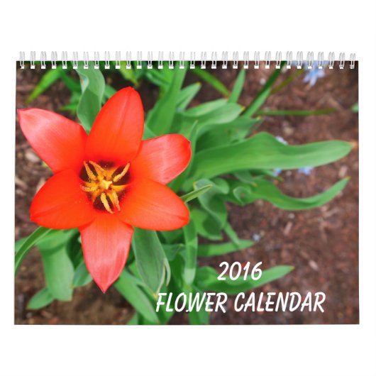 2016 Blumenkalender Kalender (Titelbild)