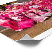 2016 Die Baumwollkanodien Poster (Ecke)