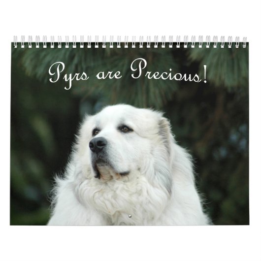 2016 große Pyrenäen-Kalender Kalender (Titelbild)