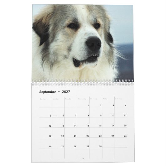 2016 große Pyrenäen-Welpen-Kalender Kalender (Sep 2027)
