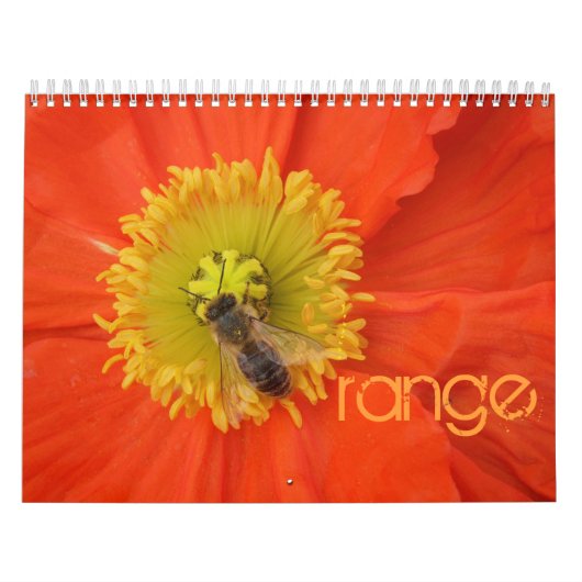 2016 in Farben - Kalender (Titelbild)