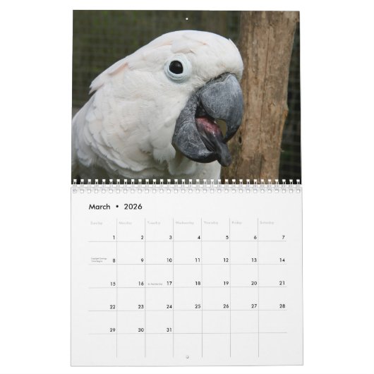 2016 Kalender der Papageien, Macaw, Amazonas, (Mär 2026)