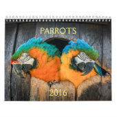 2016 Kalender der Papageien, Macaw, Amazonas, (Titelbild)