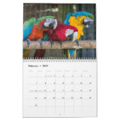 2016 Kalender der Papageien, Macaw, Amazonas, (Feb 2027)