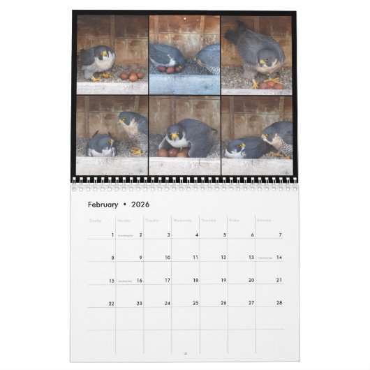 2016 Kalender - Hauptnocken-Collagen (Feb 2026)