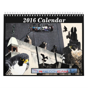 2016 Kalender - Hauptnocken-Collagen