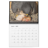 2016 Kalender - Hauptnocken-Collagen (Mär 2027)