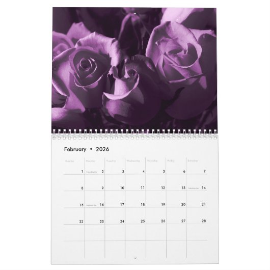 2016 lila Kalender (Feb 2026)
