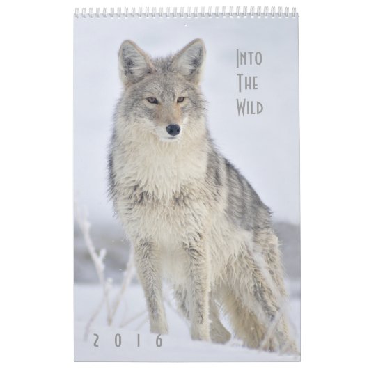 2016 Mauer-Kalender der Wildtiere von Steven Holt Kalender (Titelbild)