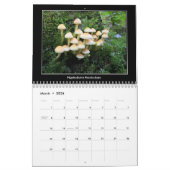 2016 Pilz-Kalender Kalender (Mär 2026)
