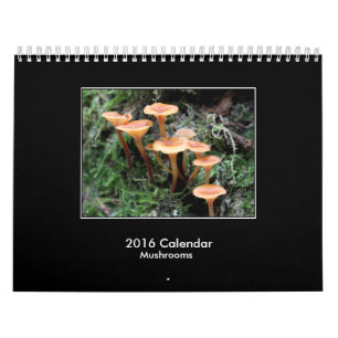 2016 Pilz-Kalender Kalender