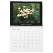 2016 Pilz-Kalender Kalender (Mär 2027)