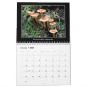 2016 Pilz-Kalender Kalender (Jan 2027)
