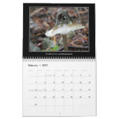 2016 Pilz-Kalender Kalender (Feb 2027)
