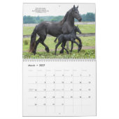 2016 Rind-Pferdekalender mit Bibel-Versen Kalender (Mär 2027)