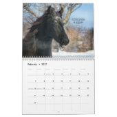 2016 Rind-Pferdekalender mit Bibel-Versen Kalender (Feb 2027)