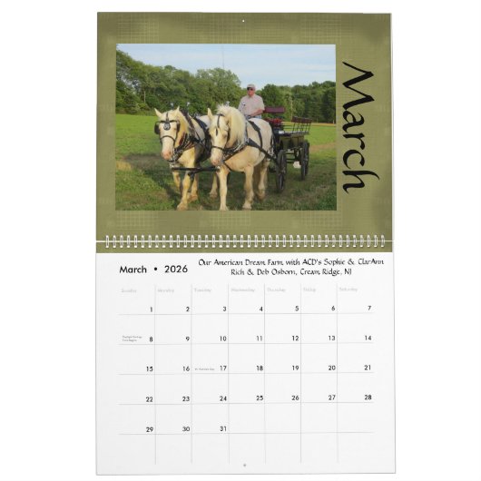 2017 ACDHA Kalender (Mär 2026)