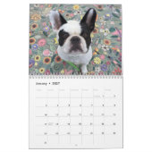 2017 BUBBA LOUIE KALENDER (Jan 2027)