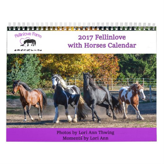 2017 Fellinlove mit Pferdekalender Kalender (Titelbild)