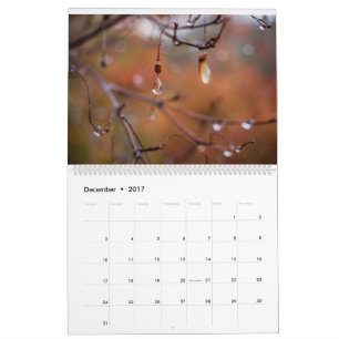 2017 Kalender, Fotos durch Eric Johnson Kalender