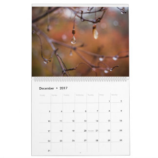 2017 Kalender, Fotos durch Eric Johnson Kalender