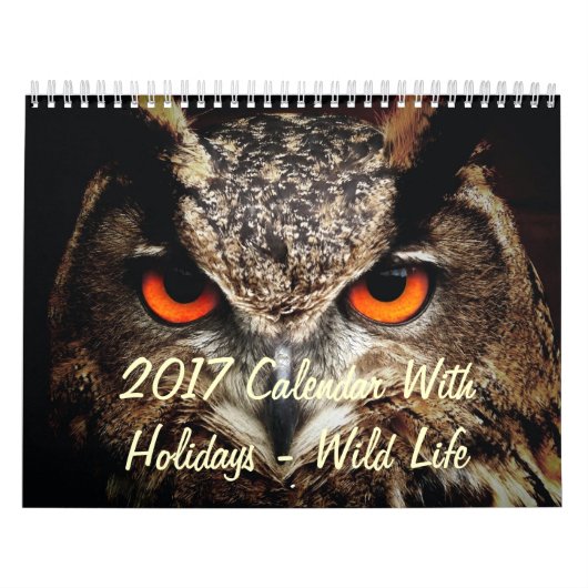 2017 Kalender mit Ferien - Wildes Leben (Titelbild)