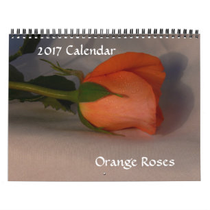 2017 Kalender-Orange Rosen-Kalender Kalender