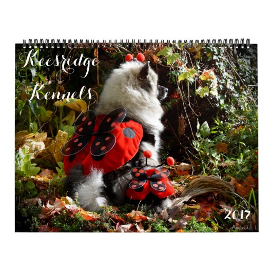 2017 KEESRIDGE HUNDEHÜTTEN-KALENDER KALENDER (Titelbild)