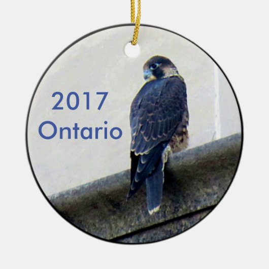 2017 Keramik Ornament Ontario (Vorne)