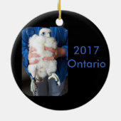 2017 Keramik Ornament Ontario (Hinten)