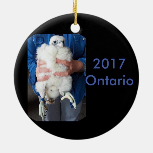 2017 Keramik Ornament Ontario (Hinten)