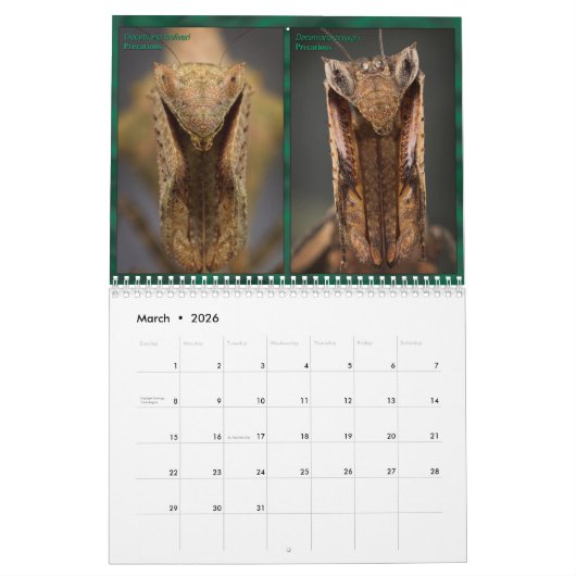 2017 mittlerer/großer MANTIDFORUM Kalender (Mär 2026)