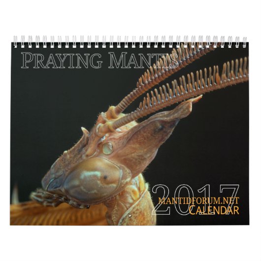 2017 mittlerer/großer MANTIDFORUM Kalender (Titelbild)