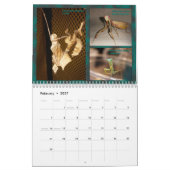 2017 mittlerer/großer MANTIDFORUM Kalender (Feb 2027)