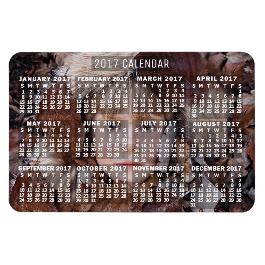2017 Monatlicher Kalender weiß | Foto hinzufügen Magnet (Horizontal)