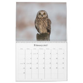 2017 Nordamerikaner-Eulen-Wandkalender Kalender (Feb 2027)