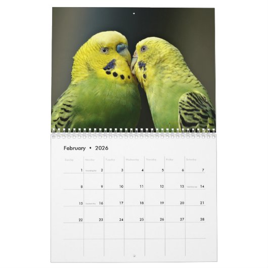 2017 Papageien-Kalender Kalender (Feb 2026)
