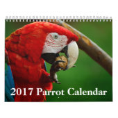 2017 Papageien-Kalender Kalender (Titelbild)