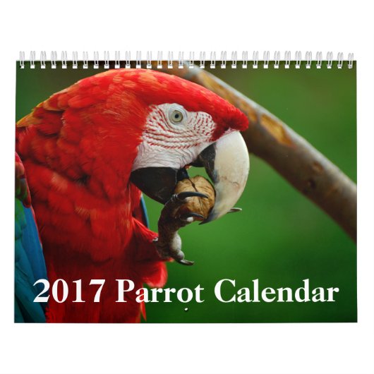 2017 Papageien-Kalender Kalender (Titelbild)
