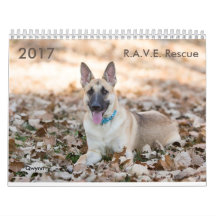 2017 R.A.V.E. Rettungs-Kalender