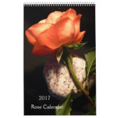 2017 Rosen Single Calender Kalender (Titelbild)