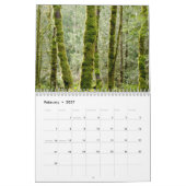 2017 Salz-Frühlings-Insel-Kalender Kalender (Feb 2027)
