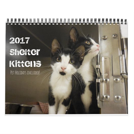 2017 Shelter Kittens Kalender (Titelbild)