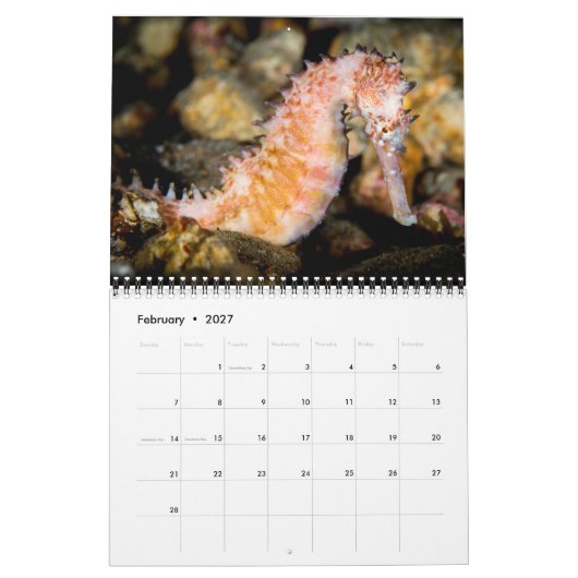 2017 tragen Underseas ein Kalender (Feb 2027)