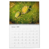2017 tragen Underseas ein Kalender (Jan 2027)