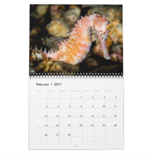 2017 tragen Underseas ein Kalender